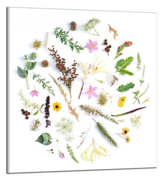 Obraz na plátne Listy a kvety
