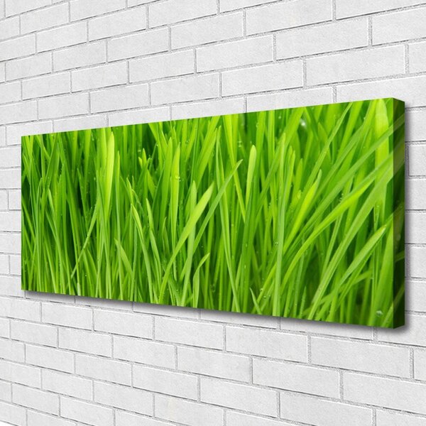Obraz na plátne Tráva rastlina príroda 125x50 cm