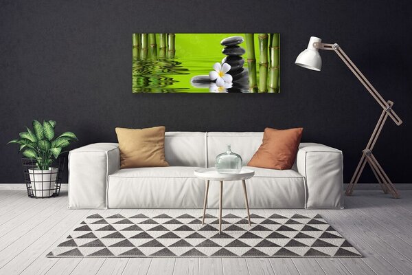 Obraz na plátne Bambus kamene rastlina 125x50 cm