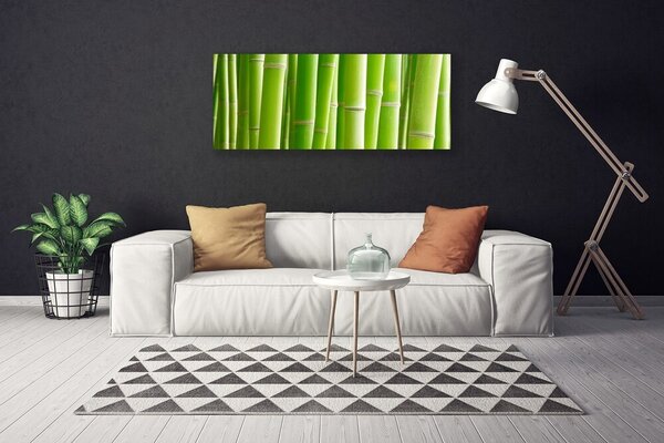 Obraz na plátne Bambus stonka kvet rastlina 125x50 cm