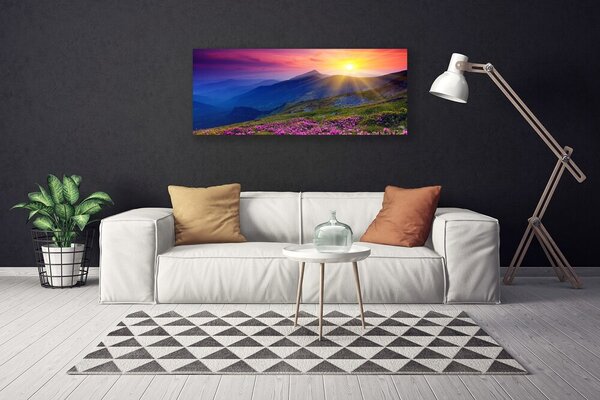 Obraz na plátne Hory kvet lúka krajina 125x50 cm