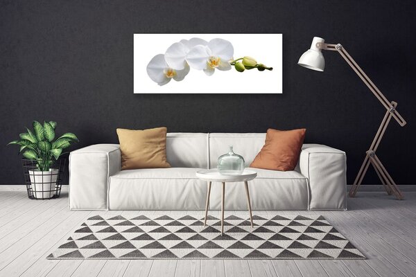 Obraz na plátne Kvety rastlina príroda 125x50 cm