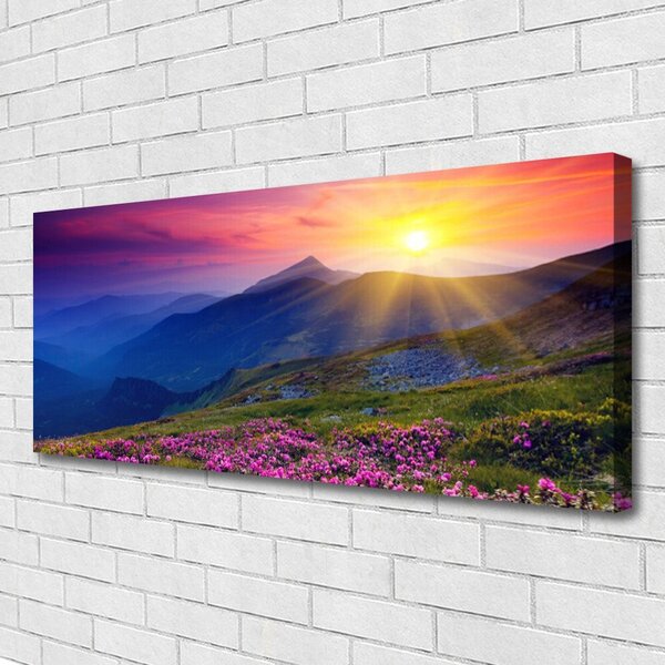 Obraz na plátne Hory kvet lúka krajina 125x50 cm