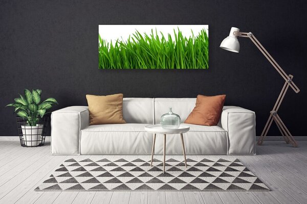 Obraz na plátne Tráva rastlina príroda 125x50 cm