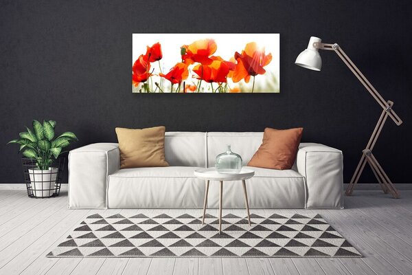 Obraz na plátne Maky rastlina príroda 125x50 cm