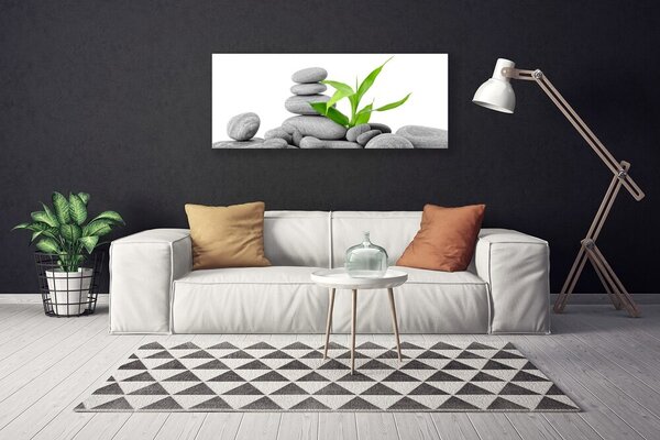 Obraz na plátne Kamene listy umenie 125x50 cm