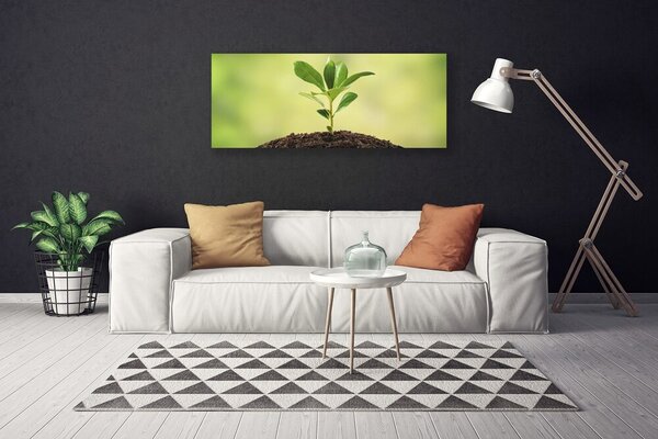 Obraz na plátne Pôda rastlina rast 125x50 cm