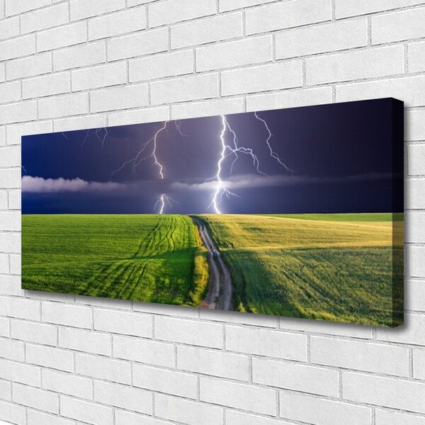 Obraz na plátne Pole blesk krajina 125x50 cm