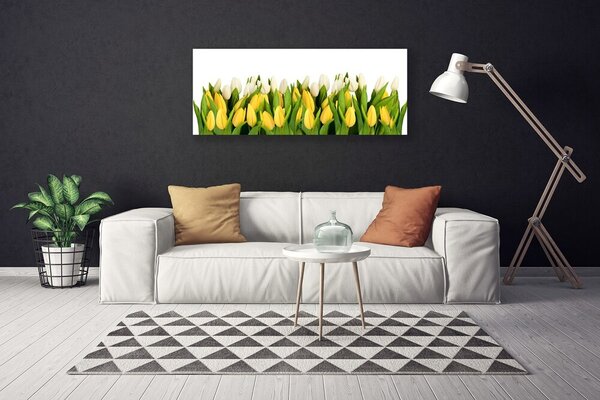 Obraz na plátne Tulipány kvety rastlina 125x50 cm