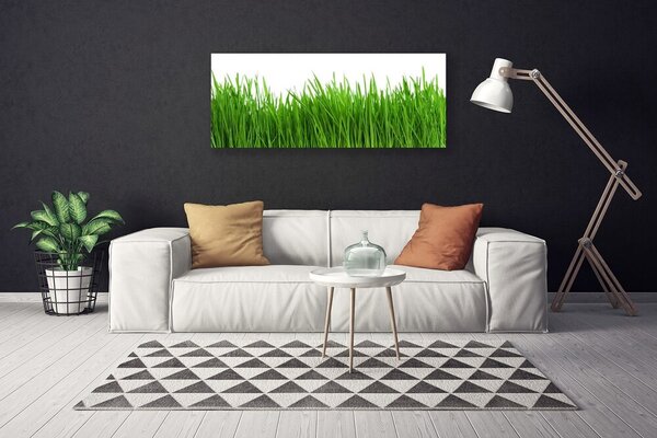 Obraz na plátne Tráva rastlina príroda 125x50 cm