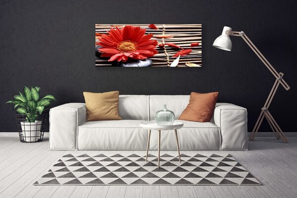 Obraz na plátne Kvet rastlina príroda 125x50 cm