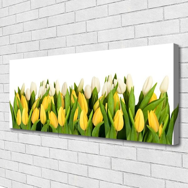 Obraz na plátne Tulipány kvety rastlina 125x50 cm