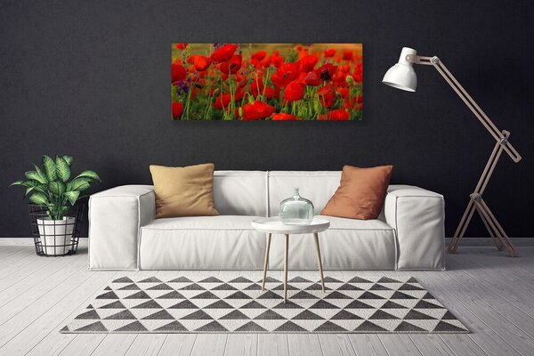 Obraz na plátne Maky rastlina príroda 125x50 cm