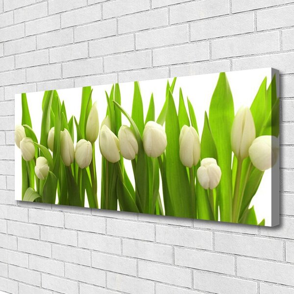 Obraz na plátne Tulipány kvety rastlina 125x50 cm