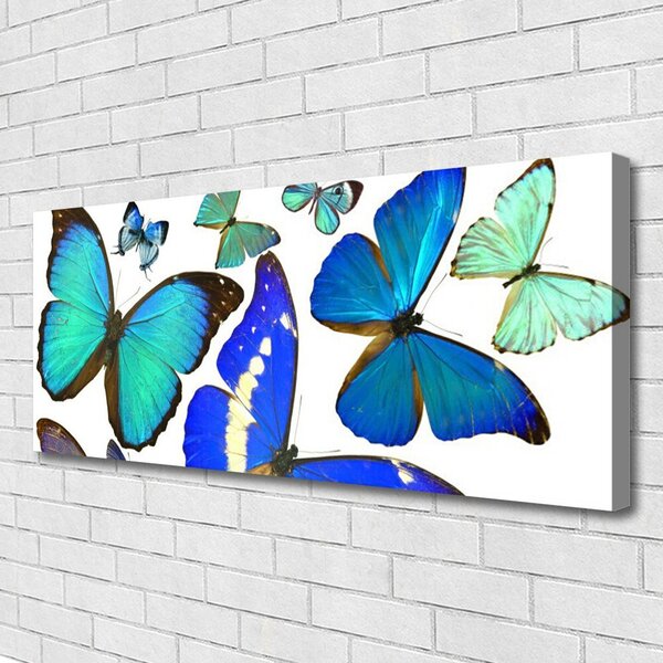 Obraz na plátne Motýle príroda 125x50 cm