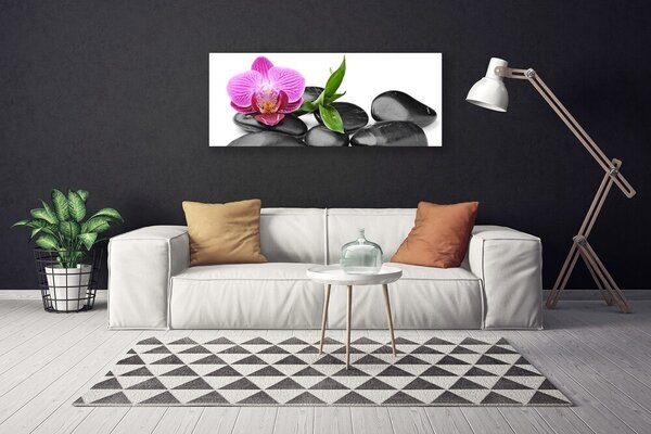 Obraz na plátne Kvet kamene umenie 125x50 cm