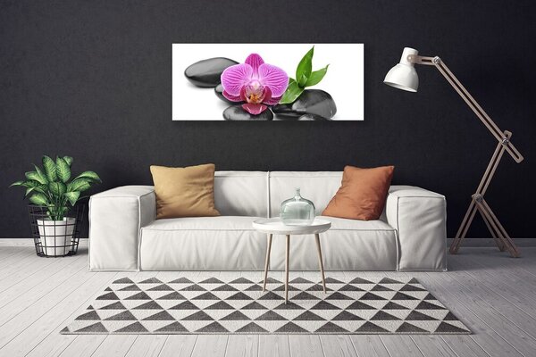 Obraz na plátne Kvet kamene umenie 125x50 cm