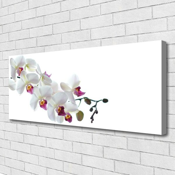 Obraz na plátne Kvety rastlina príroda 125x50 cm