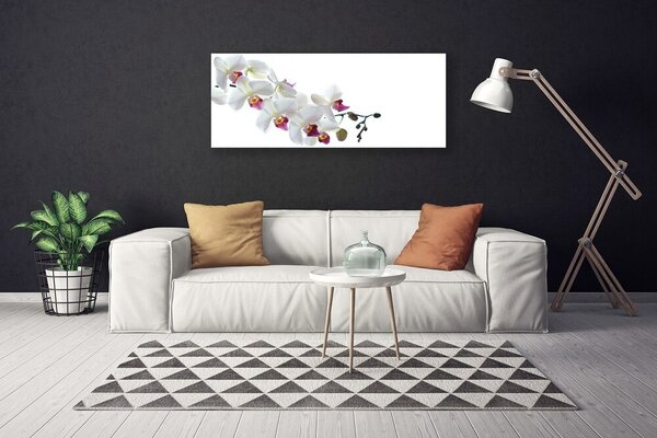Obraz na plátne Kvety rastlina príroda 125x50 cm