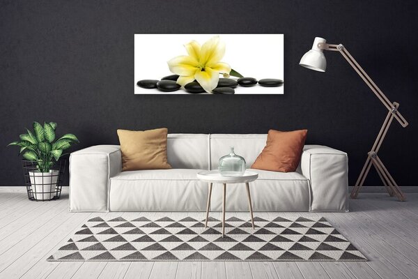 Obraz na plátne Kvet kamene umenie 125x50 cm