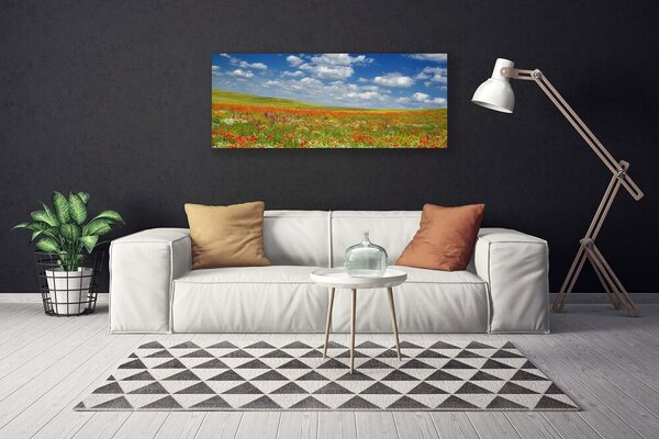 Obraz na plátne Lúka kvety príroda 125x50 cm