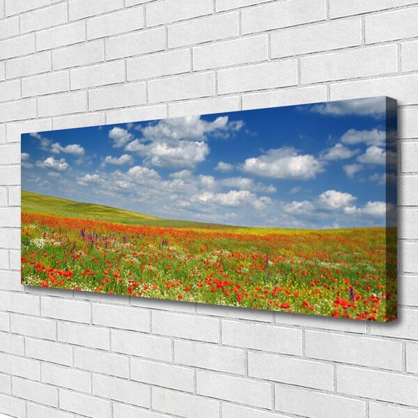 Obraz na plátne Lúka kvety príroda 125x50 cm