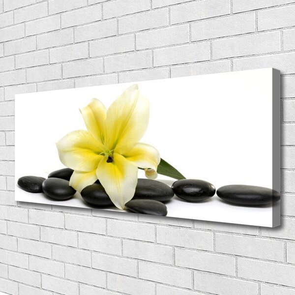 Obraz na plátne Kvet kamene umenie 125x50 cm