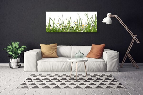 Obraz na plátne Tráva sedmokrásky príroda 125x50 cm