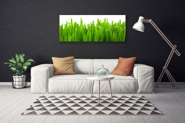 Obraz na plátne Tráva príroda rastlina 125x50 cm