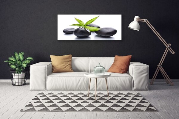 Obraz na plátne Kamene listy umenie 125x50 cm