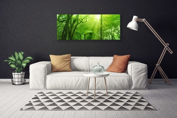Obraz na plátne Stromy príroda 125x50 cm
