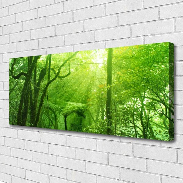 Obraz na plátne Stromy príroda 125x50 cm