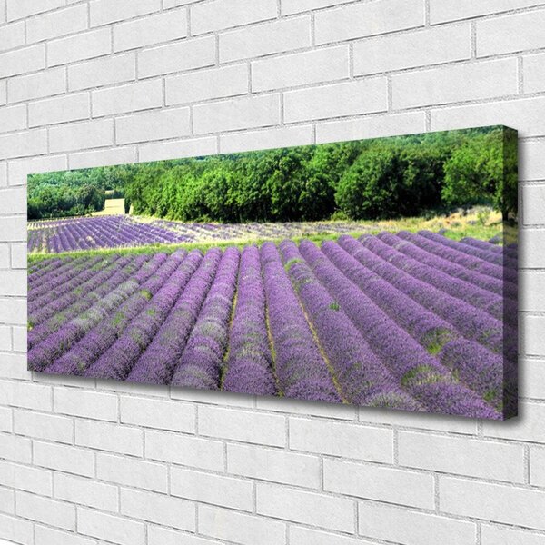 Obraz na plátne Lúka kvety príroda 125x50 cm
