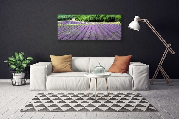 Obraz na plátne Lúka kvety príroda 125x50 cm