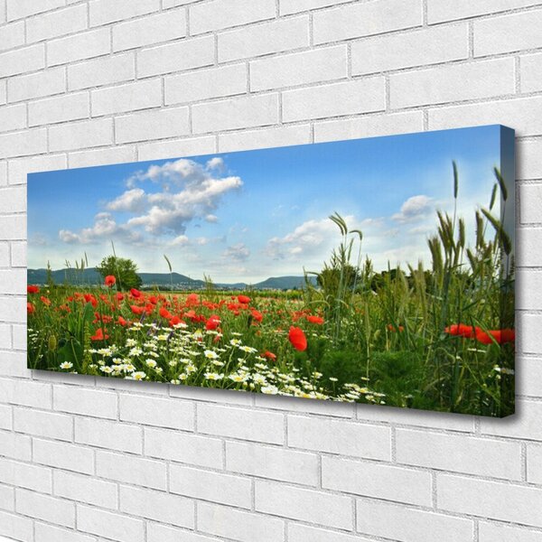 Obraz Canvas Lúka kvety príroda 125x50 cm