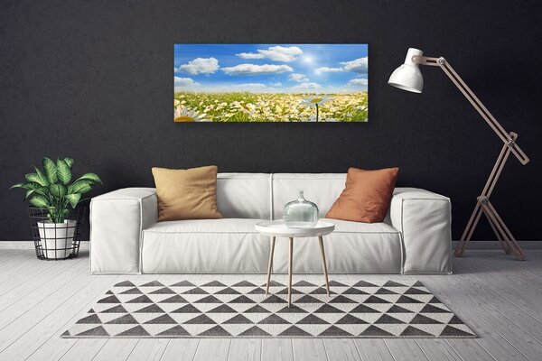 Obraz na plátne Lúka sedmokrásky príroda 125x50 cm
