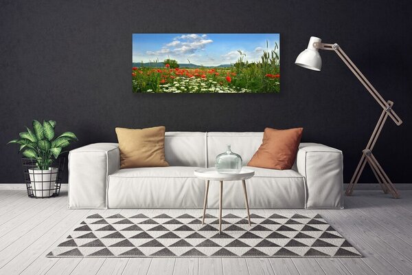 Obraz Canvas Lúka kvety príroda 125x50 cm