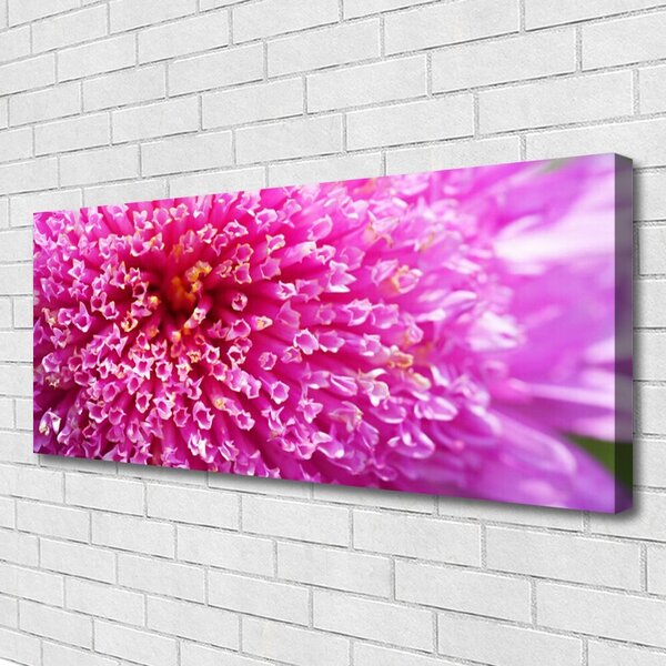 Obraz na plátne Kvet 125x50 cm