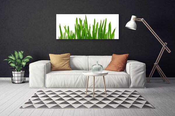 Obraz na plátne Tráva 125x50 cm