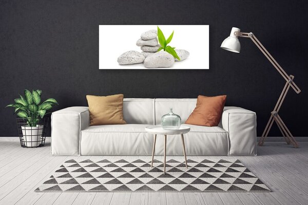 Obraz na plátne Kamene príroda 125x50 cm