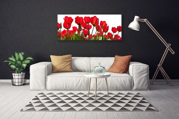 Obraz na plátne Kvety 125x50 cm