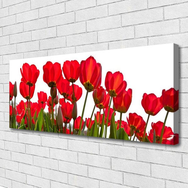 Obraz na plátne Kvety 125x50 cm