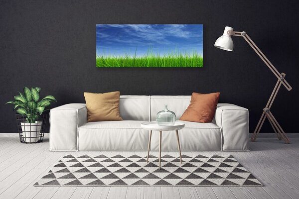 Obraz na plátne Nebo tráva príroda 125x50 cm
