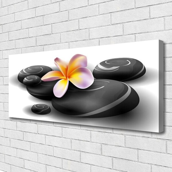 Obraz na plátne Kvety kamene príroda 125x50 cm