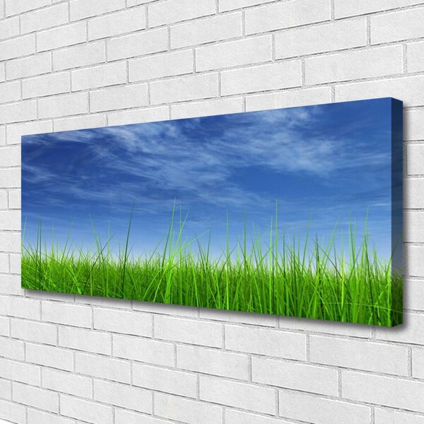 Obraz na plátne Nebo tráva príroda 125x50 cm