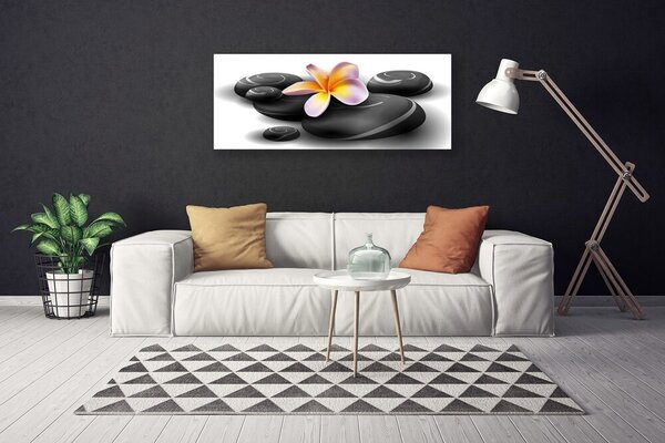 Obraz na plátne Kvety kamene príroda 125x50 cm