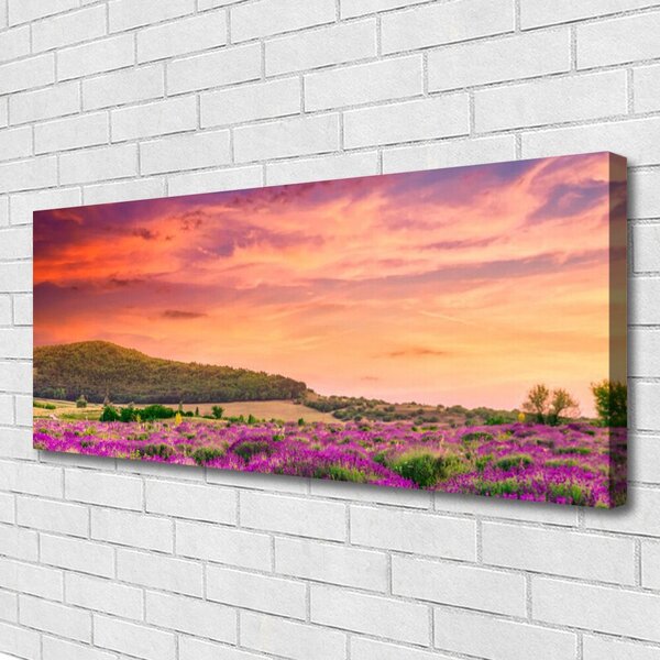 Obraz na plátne Lúka kvety príroda 125x50 cm