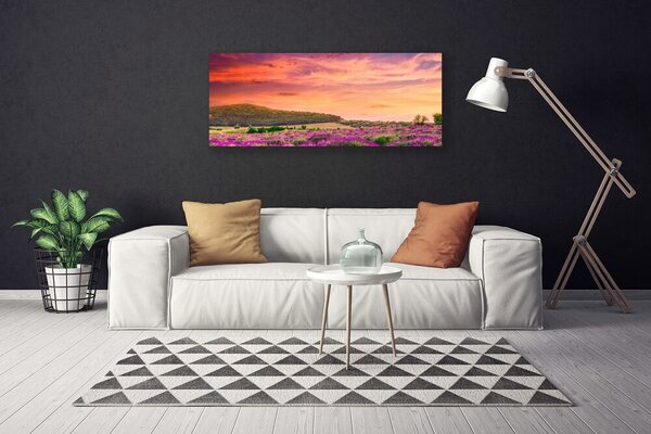 Obraz na plátne Lúka kvety príroda 125x50 cm