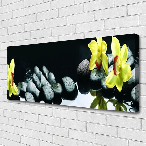 Obraz na plátne Kvet kamene 125x50 cm