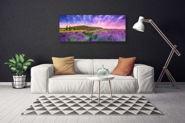Obraz na plátne Lúka kvety hory príroda 125x50 cm
